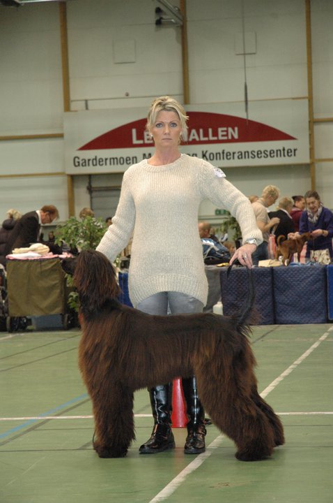 Diva wins CAC in Norway Oct 2010