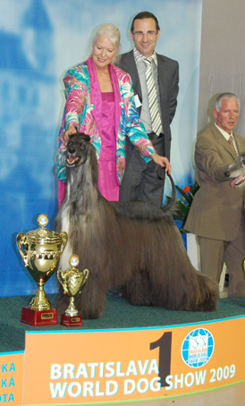 King Sox, Groupwinner WW-2009